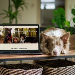 Onlinetraining - Australian Shepherd liegt neben einem Laptop mit der Hundeschule Toncane Webseite drauf.